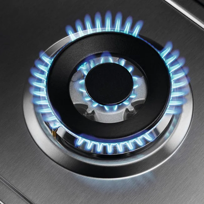 PLACA DE GAS ZANUSSI ZGG65334XA